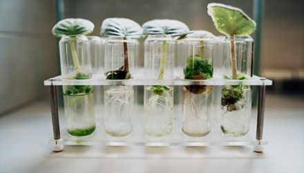 �з�����