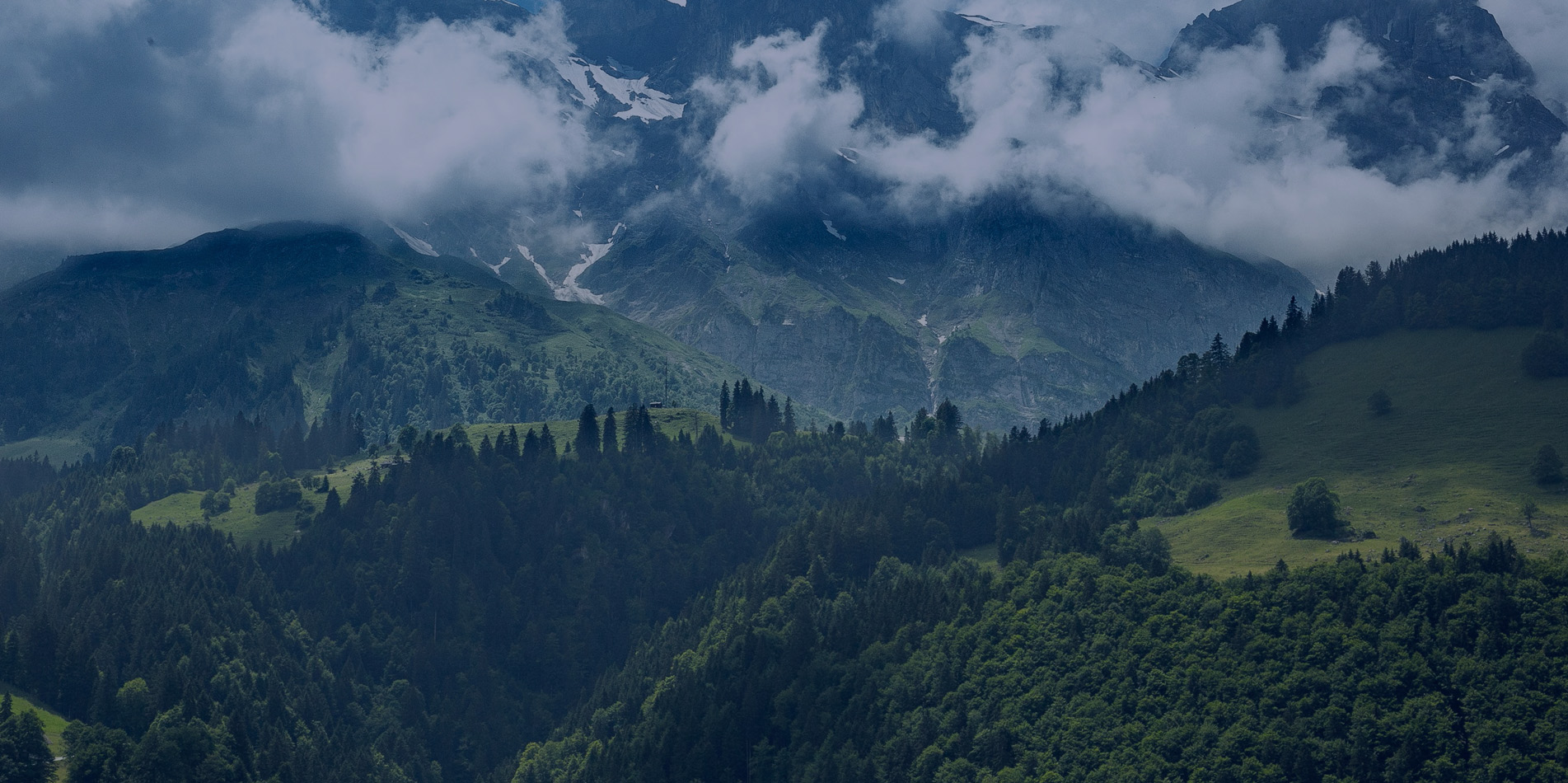 ��һ������