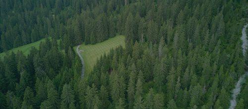 �״�����